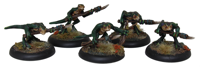Trebarnii Warriors